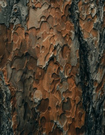 clay-banks-VppPygAZKU0-unsplash